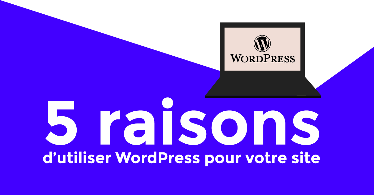 5 raisons pour lesquelles vous devriez créer votre site Web avec WordPress